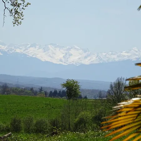 Au Moulie Le Chai * Blousson-Sérian